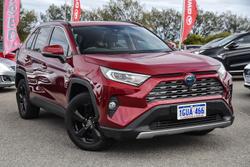 2019 Toyota RAV4 Cruiser