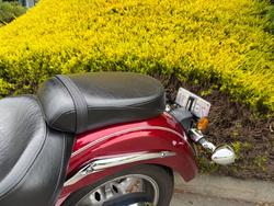 2016 Yamaha XVS1300A V-STAR Red