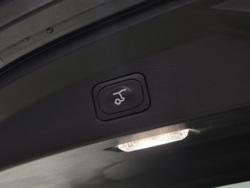 2024 Ford Everest Trend