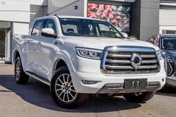 2021 GWM Ute Cannon