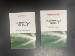 2010 Toyota Camry Hybrid AHV40R MY10 Silver Ash