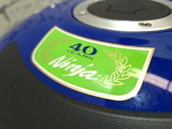 2024 Kawasaki Ninja ZX-14R ABS Special Edition (ZX1400J) Ninja Green