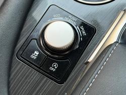 2016 Lexus RX 200t Luxury