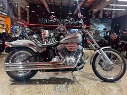 Harley-Davidson Softail Standard 1584 (fxst)