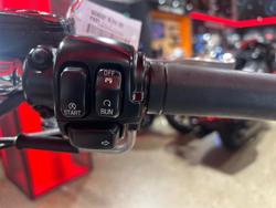 2007 Harley-Davidson Softail Standard 1584 (FXST) Softail