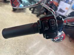 2007 Harley-Davidson Softail Standard 1584 (FXST) Softail