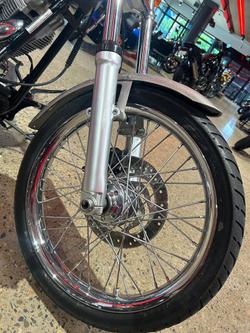 2007 Harley-Davidson Softail Standard 1584 (FXST) Softail