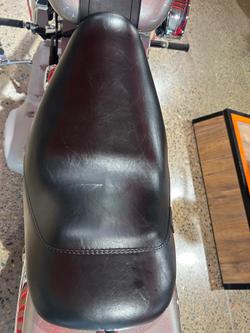 2007 Harley-Davidson Softail Standard 1584 (FXST) Softail