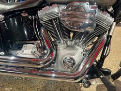 2007 Harley-Davidson Softail Standard 1584 (FXST) Softail