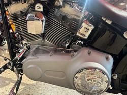 2007 Harley-Davidson Softail Standard 1584 (FXST) Softail