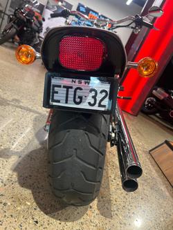 2007 Harley-Davidson Softail Standard 1584 (FXST) Softail