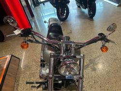2007 Harley-Davidson Softail Standard 1584 (FXST) Softail