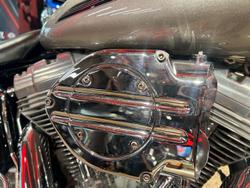 2007 Harley-Davidson Softail Standard 1584 (FXST) Softail