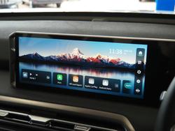 2025 LDV Terron 9 Evolve