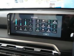 2025 LDV Terron 9 Evolve