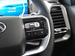 2025 LDV Terron 9 Evolve