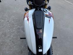 2025 Indian SCOUT 101 White
