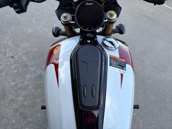 2025 Indian SCOUT 101 White
