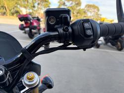 2025 Indian SCOUT 101 White