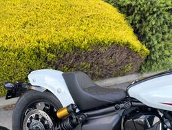 2025 Indian SCOUT 101 White