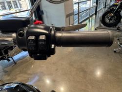 2017 Harley-Davidson Fat Boy 103 (FLSTF) Softail Black