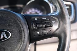 2017 Kia Carnival Platinum