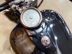 2015 HARLEY-DAVIDSON FLS SOFTAIL SLIM