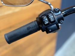 2015 HARLEY-DAVIDSON FLS SOFTAIL SLIM