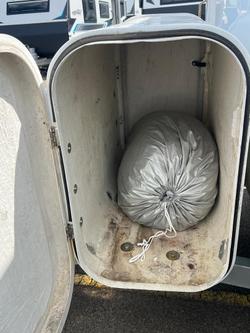 2020 Fantasy Caravan Mystic 12