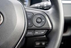 2022 Toyota RAV4 Cruiser