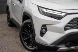 2022 Toyota RAV4 Cruiser