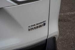 2022 Toyota RAV4 Cruiser