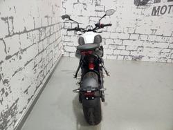 2026 Triumph Trident 660 Trident White