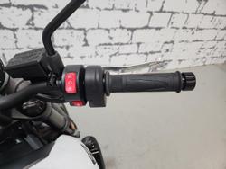 2026 Triumph Trident 660 Trident White