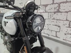 2026 Triumph Trident 660 Trident White