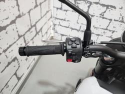 2026 Triumph Trident 660 Trident White