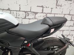 2026 Triumph Trident 660 Trident White