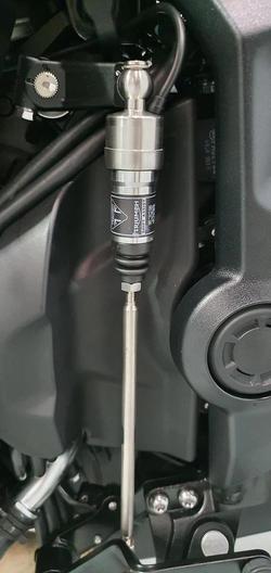 2026 Triumph Trident 800 Trident Red