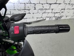 2025 Kawasaki Z500 (ER500) Z Green