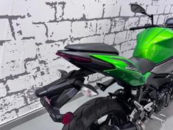 2025 Kawasaki Z500 (ER500) Z Green