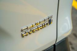 2021 Toyota RAV4 Cruiser