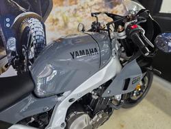 2024 Yamaha XSR900GP (MTM890ASP) Grey