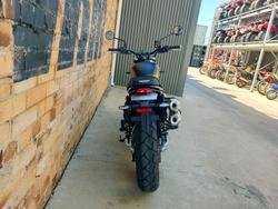 2026 TRIUMPH SCRAMBLER 900 KHAKI