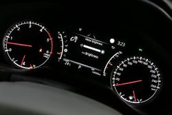 2024 Toyota Landcruiser VX