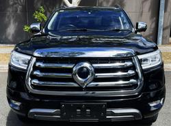 2022 GWM Ute Cannon