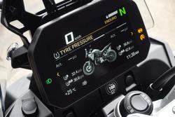 2025 BMW F 900 GS Enduro F 900 Yellow