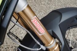 2025 BMW F 900 GS Enduro F 900 Yellow