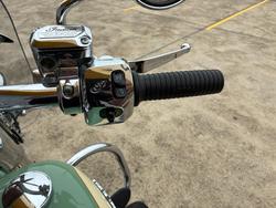 2020 Indian CHIEF VINTAGE W GREEN-IV CREAM Green