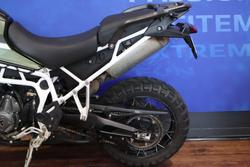 2023 TRIUMPH TIGER 900 RALLY PRO Green