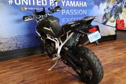 2023 TRIUMPH TIGER 900 RALLY PRO Green